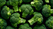 Rich texture of fresh broccoli florets tightly packed together, in deep green color