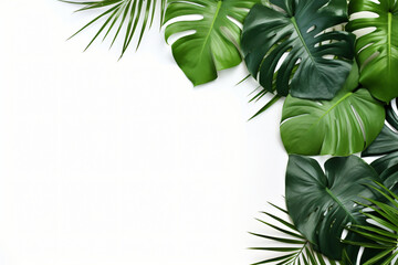 Photo green tropical palm leaves monstera on white background Generative AI