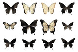 Fototapeta Pokój dzieciecy - Set of butterfly silhouettes 
