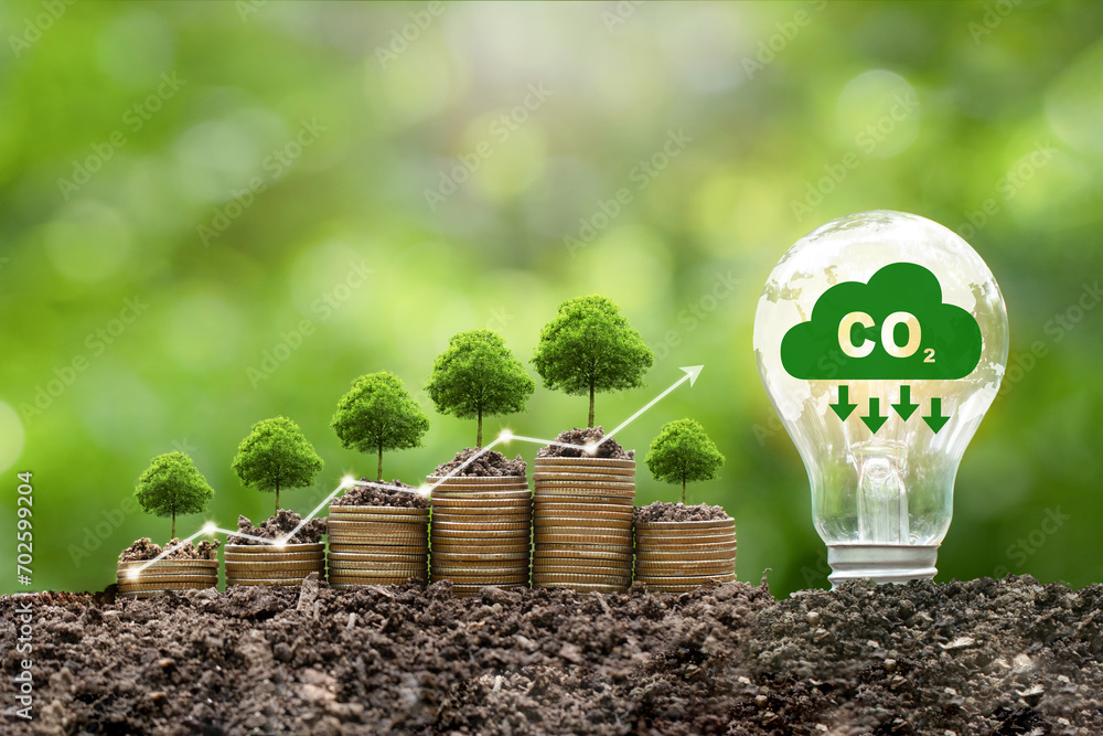 Carbon credit concept.Light bulb and tree growing on stack of coins ...