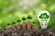 Carbon Credit Concept.Light Bulb And Tree Growing On  Stack Of Coins With Digital Growth Graph. Tradable Certificate To Drive Industry And Company In The Direction Of Low Emissions In Efficiency Cost.