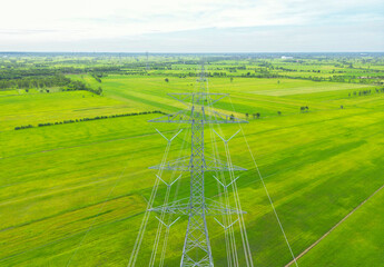 Wall Mural - High-voltage power lines crossing a green field in the countryside