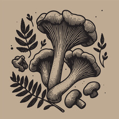 Chanterelle Mushrooms. Beautiful engraving monochrome vector illustration. Icon, logo, isolated object