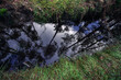 Kleiner Wassergraben im Forst, von Traktoren, mit Schattenspiel, Spiegelung Wald
