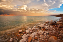 Coast Of The Dead Sea In Israel