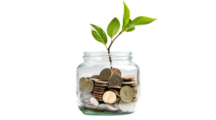 Plant growing from coins in glass jar isolated on transparent and white background.PNG image.