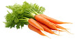 Delicious carrots cut out