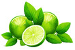 Chopped Lime fruit with mint leaf isolated fresh lime. Green leaf lime isolated on white background. transparent background Generative Ai