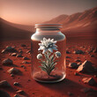 Edelweiss auf dem Mars