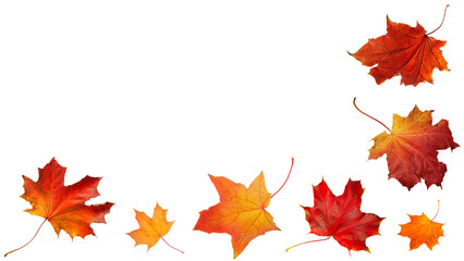 Aufkleber - Orange red autumn leaves  falling down Isolated on white