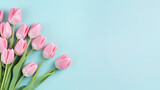 Fototapeta Tulipany - Creative Floral composition. Pink tulip tulips flowers on blue background