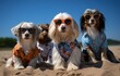 © QuietWord - happy dogs group portrait at beach look cool in Hawaii shirt cute and funny animal portrait summer theme, Generative Ai