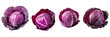 Set of red cabbage top view isolated on white or transparent background
