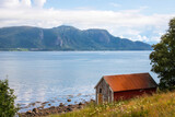 Fototapeta Sawanna - Boat house on the shore of Fjord with mountains in the background