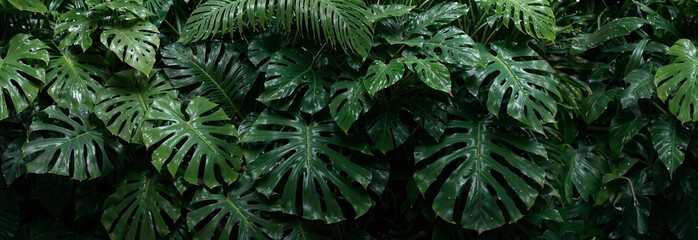  Monstera leaves tileable seamless background, panoramic floral, plants banner, tropical pattern header. Generative AI.