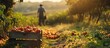 Image of a farmer in a field in the countryside with tomato crates during the harvest. with copy space image. Place for adding text or design