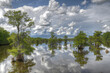 Dead lakes in Wewahitchka Florida