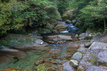 Wall Mural - A Waterfall on the Shiratani Unsuikyo Ravine Trail, Yakushima, Japan