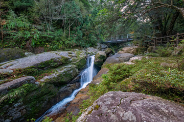 Wall Mural - Shiratani Unsuikyo Ravine Trail, Yakushima, Japan