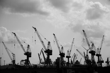 silhouettes of cranes in the harbor