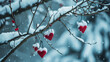 Red hearts on snowy tree branches in winter. Holidays happy Valentine's Day. Love concept, Valentine's day concept,