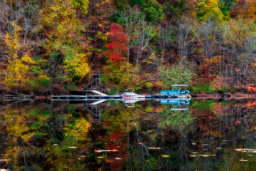 Wall Mural - Pontoon boat on the water in Fall