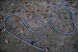 © Neils - blue plastic hose on the ground in the autumn, close-up