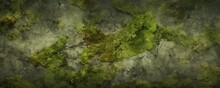 Textured Moss Grunge Background
