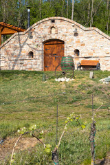 Poster - wine cellar, Palava region, South Moravia, Czech Republic