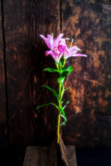 Wall Mural - Pretty flowers in studio in front of wood