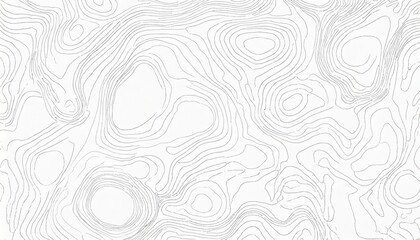 abstract blank detailed topographic contour map subtle white vector background topographic cartograp