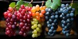 succulent grapes, hanging from the vine. The vibrant colors and plump texture make them an inviting and delicious snack 