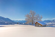 Allgäu - Winter - Chalet - Alpe - Stadel - Schnee - Berge