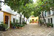 sevilla patio andaluz de casas de barrio 4M0A5575-as24