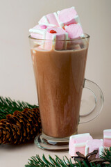 A glass with cocoa and white and pink marshmallows, spruce branches and cones.