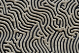 Fototapeta  - An aerial view of a cashmere pattern maze created on a large scale, with paths intertwining like a labyrinth.