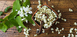 Fototapeta  - Fresh jasmine flowers on wooden background