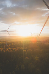 Wall Mural - Wind turbines over the forest at sunset, looking directly in the sun