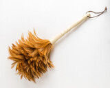 Fototapeta  - Brush for removing dust from bird feathers. Sweep, broom. Pipidastr