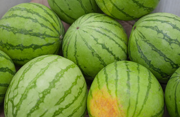 Wall Mural - watermelon isolated on white background