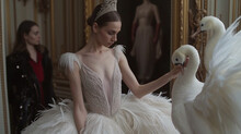 Graceful Ballerina In A Sumptuous White Feathered Costume Gentle Caresses A White Swan In The Backstage. Swan Song: Elegance In Motion.
