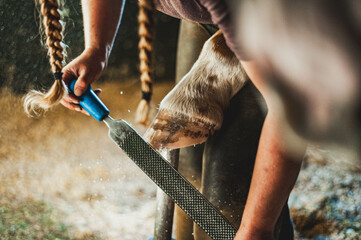 Quarter horse getting hoof shaped by a female farrier with two pigtail braids in a dusty stall in an old wooden barn.