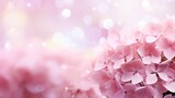 Pink hydrangea blossom on isolated magical bokeh background with copy space for text placement