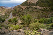la gomera, landscapes of la gomera, palm trees on the slopes of la gomera,