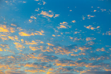 Wall Mural - Cloudscape, Colored Clouds at Sunset near the Ocean in a Blue Sky