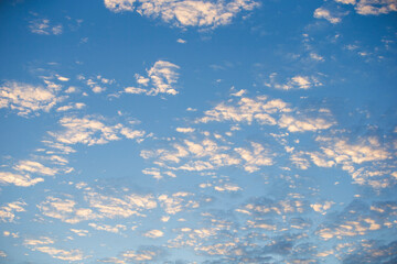 Wall Mural - Cloudscape, Colored Clouds at Sunset near the Ocean in a Blue Sky