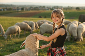 Poster - Girl feeding sheep on pasture. Farm animals