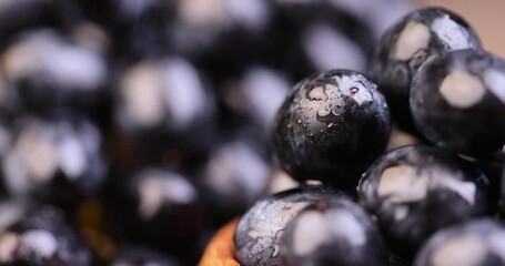 Wall Mural - fresh pure blue grapes, sweet ripe grapes on the table