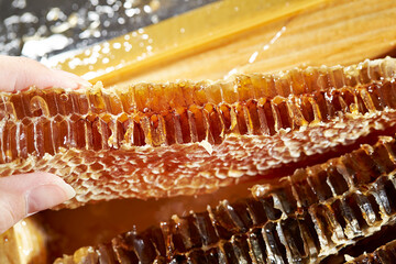 Wall Mural - Honey in honeycomb, organic food ingredients