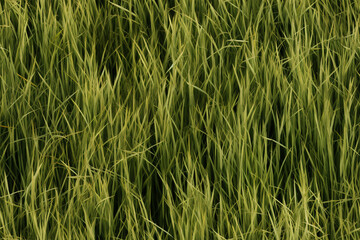 tall green grass background wall texture pattern seamless